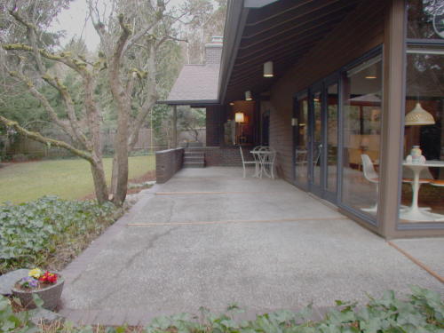 Lower level fireplace